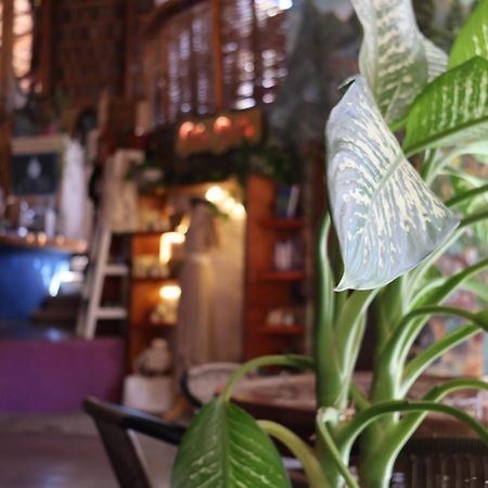 Posada del Molino Todos Santos Exterior foto