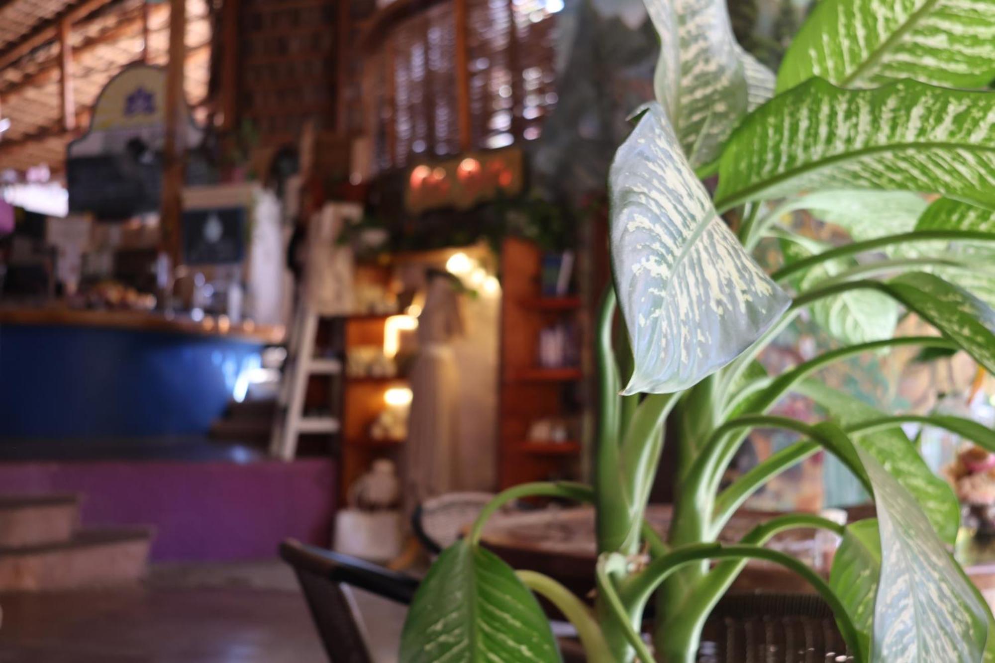 Posada del Molino Todos Santos Exterior foto